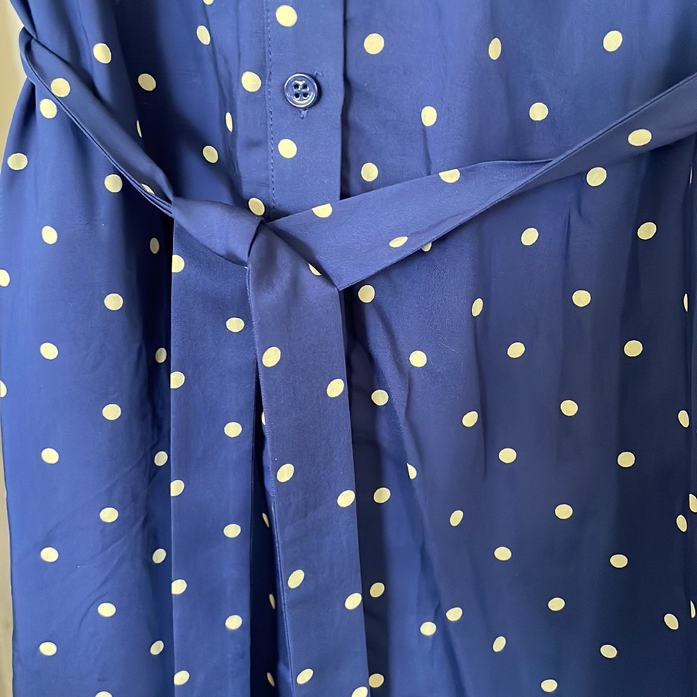 Reformation Polka Dot Shirt Dress View 2